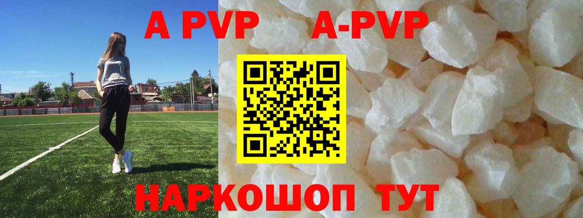 Альфа ПВП СК КРИС Воркута
