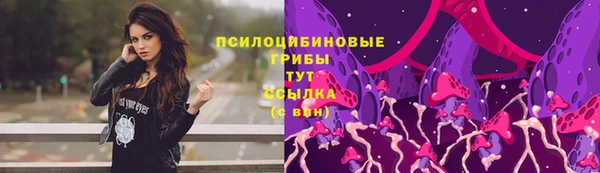 стафф Белокуриха