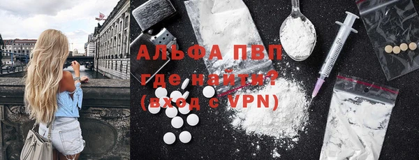 стафф Белокуриха
