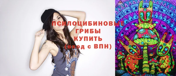 стафф Белокуриха