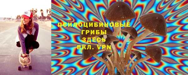 шишки Сосновоборск