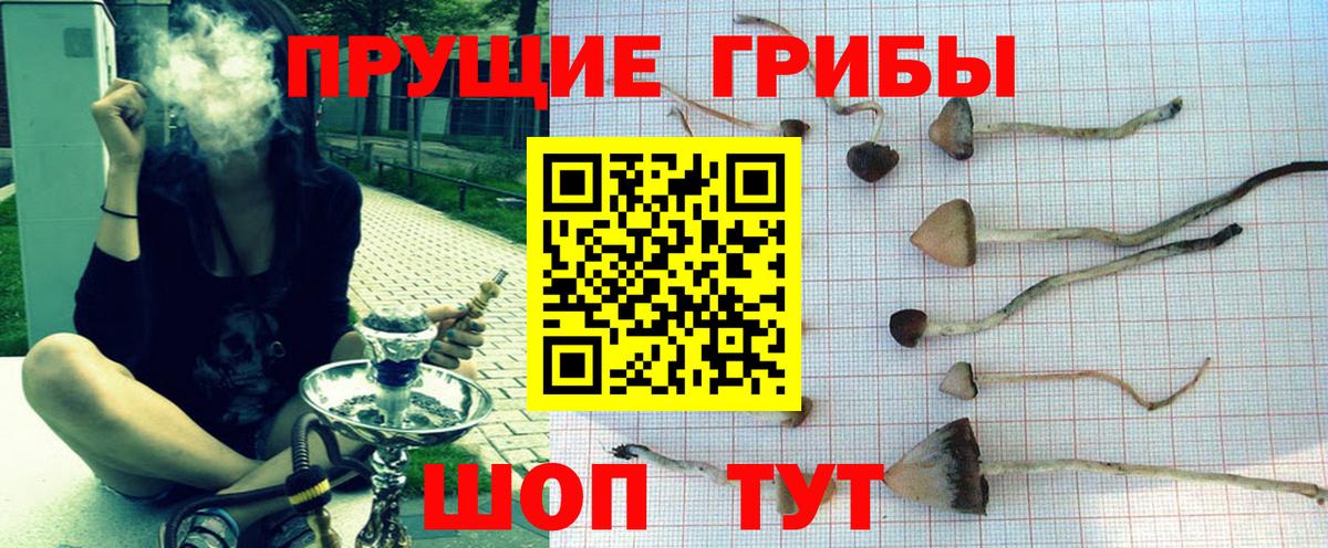Воркута  Псилоцибиновые грибы GOLDEN TEACHER  Вход с VPN 